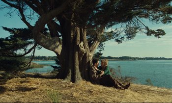Movie still from “My American Uncle” (1980), directed by Alain Resnais – A woman and a child sitting under a large tree; Extreme Wide shot, High angle