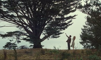 Movie still from “My American Uncle” (1980), directed by Alain Resnais – A man and a woman standing next to a large tree; Extreme Wide shot, Low angle
