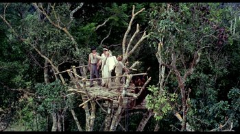 Movie still from “My Best Fiend” (1999), directed by Werner Herzog – A group of people standing on top of a tree; Wide shot, High angle