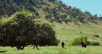 Movie still from “My Brilliant Career” (1979), directed by Gillian Armstrong – A man standing in a field next to a large tree; Extreme Wide shot, Low angle