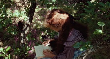 Movie still from “My Brilliant Career” (1979), directed by Gillian Armstrong – A woman sitting in a tree reading a book; Medium shot, High angle