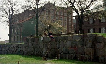 Movie still from “My Life as a Dog” (1985), directed by Lasse Hallström – Two people and a dog are sitting on a wall; Extreme Wide shot, High angle