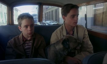 Movie still from “My Life as a Dog” (1985), directed by Lasse Hallström – Two young men sitting in the back of a car with a dog; Close Up shot, High angle