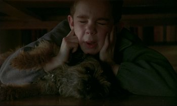 Movie still from “My Life as a Dog” (1985), directed by Lasse Hallström – A boy and a dog laying on the ground; Close Up shot, High angle
