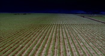 Movie still from “Naqoyqatsi” (2002), directed by Godfrey Reggio – An aerial view of an empty field at night time; Extreme Wide shot, High angle