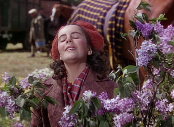 Movie still from “National Velvet” (1944), directed by Clarence Brown – A woman in a red hat and a purple jacket is sitting in some purple flowers; Close Up shot, Low angle