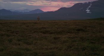 Movie still from “Never Cry Wolf” (1983), directed by Carroll Ballard – A person standing in the middle of an open field at sunset; Extreme Wide shot, High angle