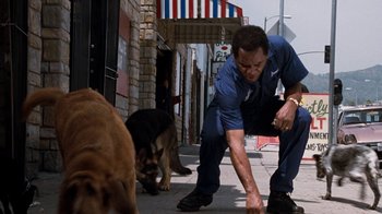 Movie still from “Next Friday” (2000), directed by Steve Carr – A man kneeling down on the ground with a dog; Wide shot, Low angle