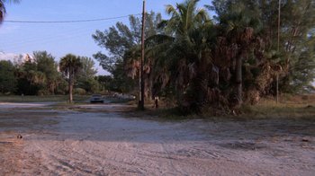 Movie still from “Night Moves” (1975), directed by Arthur Penn – A car parked on the side of the road next to some palm trees; Extreme Wide shot, High angle