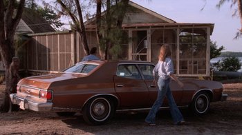 Movie still from “Night Moves” (1975), directed by Arthur Penn – A man and a woman walking past an old car; Wide shot, Low angle