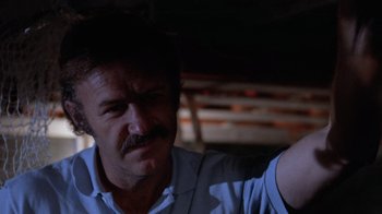 Movie still from “Night Moves” (1975), directed by Arthur Penn – A person with a beard and mustache; Close Up shot, Low angle