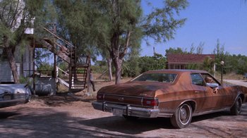 Movie still from “Night Moves” (1975), directed by Arthur Penn – An old car parked in a driveway next to a tree; Wide shot, Low angle