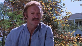 Movie still from “Night Moves” (1975), directed by Arthur Penn – A person wearing a blue shirt near a tree; Close Up shot, Low angle