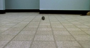 Movie still from “Night of the Creeps” (1986), directed by Fred Dekker – A ball is on the floor of a tile floor; Extreme Close Up shot, Overhead angle