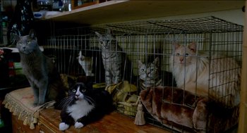 Movie still from “Nine Lives” (2016), directed by Barry Sonnenfeld – A group of cats sitting in a wire cage next to each other on the floor; Wide shot, High angle