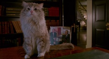 Movie still from “Nine Lives” (2016), directed by Barry Sonnenfeld – A cat sitting on the floor next to a picture; Medium shot, Low angle
