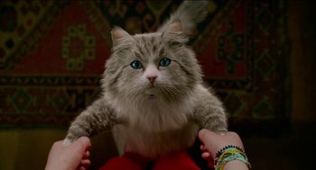 Movie still from “Nine Lives” (2016), directed by Barry Sonnenfeld – A cat sitting on someone's lap while they both look at the camera; Close Up shot, Overhead angle