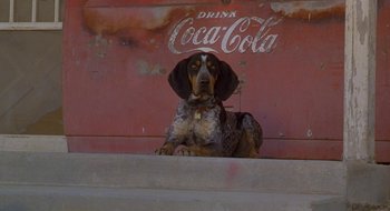 Movie still from “Nothing to Lose” (1997), directed by Steve Oedekerk – A brown and white dog sitting on top of a cement wall; Wide shot, Low angle