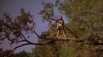 Movie still from “Now and Then” (1995), directed by Lesli Linka Glatter – A person standing on a branch of a tree; Wide shot, Low angle