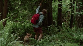 Movie still from “Old Joy” (2006), directed by Kelly Reichardt – A man and a dog in the woods with a red backpack; Wide shot, Low angle