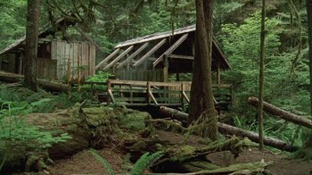 Movie still from “Old Joy” (2006), directed by Kelly Reichardt – A wooden structure in the middle of a forest; Extreme Wide shot, High angle