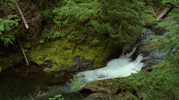 Movie still from “Old Joy” (2006), directed by Kelly Reichardt – A small waterfall in the middle of a forest; Extreme Wide shot, High angle