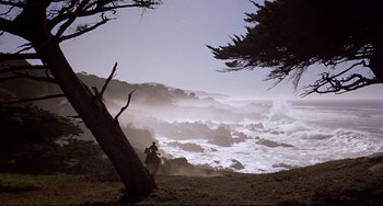 Movie still from “One-Eyed Jacks” (1961), directed by Marlon Brando – A person standing next to a tree on the beach; Extreme Wide shot, Low angle
