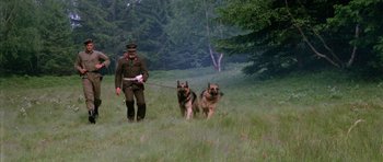 Movie still from “Opera” (1987), directed by Dario Argento – A man walking two dogs in a field; Wide shot, Low angle