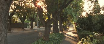 Movie still from “Oranges and Sunshine” (2010), directed by Jim Loach – The sun is shining through the trees on the side of the road; Extreme Wide shot, Low angle
