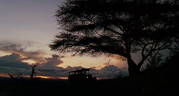 Movie still from “Out of Africa” (1985), directed by Sydney Pollack – A vehicle is parked on the side of the road under a tree; Extreme Wide shot, Low angle