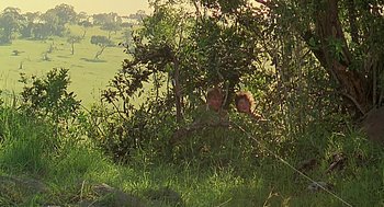 Movie still from “Out of Africa” (1985), directed by Sydney Pollack – A man and a woman hiding in a tree; Wide shot, High angle