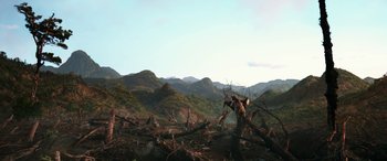 Movie still from “Paddington” (2014), directed by Paul King – A tree that is sitting in the middle of a field; Extreme Wide shot, High angle