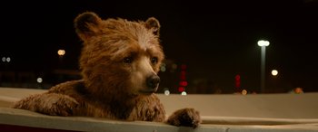 Movie still from “Paddington” (2014), directed by Paul King – A brown teddy bear sitting on top of a ledge; Close Up shot, Low angle