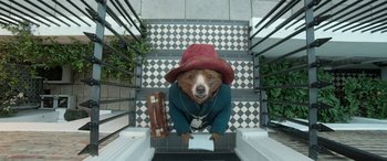 Movie still from “Paddington” (2014), directed by Paul King – A brown dog wearing a red hat sitting on top of a set of stairs; Wide shot, Overhead angle