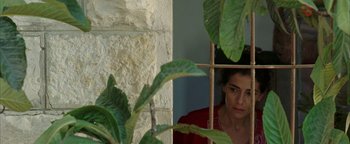 Movie still from “Paradise Now” (2005), directed by Hany Abu-Assad – A woman looking through a window at a plant through bars; Close Up shot, Over the shoulder angle