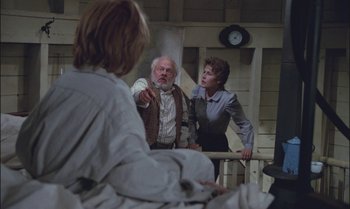 Movie still from “Pete's Dragon” (1977), directed by Don Chaffey – A man and a woman standing next to each other in a room; Medium shot, High angle