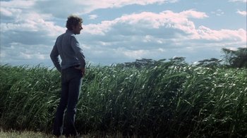 Movie still from “Phase IV” (1974), directed by Saul Bass – A man standing next to a field of tall grass; Wide shot, Low angle