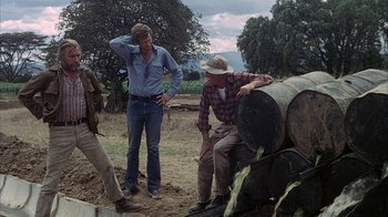 Movie still from “Phase IV” (1974), directed by Saul Bass – Two men standing next to each other near a log; Wide shot, High angle