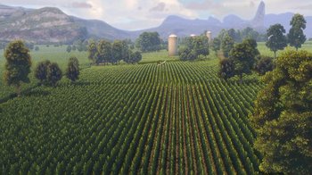Movie still from “Planes” (2013), directed by Klay Hall – An aerial view of a large vineyard with a few trees in the background; Extreme Wide shot, High angle