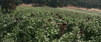 Movie still from “Planet of the Apes” (1968), directed by Franklin J. Schaffner – A group of people standing in a corn field; Extreme Wide shot, High angle