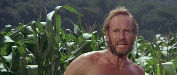 Movie still from “Planet of the Apes” (1968), directed by Franklin J. Schaffner – An old man with a beard and no shirt in a corn field; Close Up shot, Low angle
