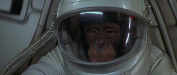 Movie still from “Planet of the Apes” (2001), directed by Tim Burton – A chimpanzees head in a space helmet; Close Up shot, Overhead angle