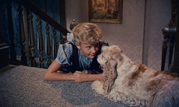 Movie still from “Pollyanna” (1960), directed by David Swift – A young girl laying on the floor next to a dog; Medium shot, High angle