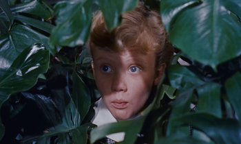 Movie still from “Pollyanna” (1960), directed by David Swift – A young boy with blue eyes peeks through the leaves of a tree; Close Up shot, High angle