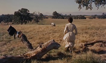 Movie still from “Pollyanna” (1960), directed by David Swift – A woman walking through a field with animals; Extreme Wide shot, High angle