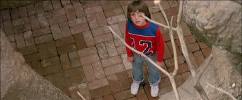 Movie still from “Poltergeist” (1982), directed by Tobe Hooper – A young boy standing on a brick path looking up; Medium shot, Overhead angle