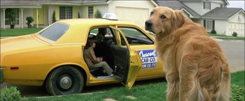 Movie still from “Poltergeist” (1982), directed by Tobe Hooper – A dog sitting in the driver's seat of a yellow taxi cab; Wide shot, Low angle
