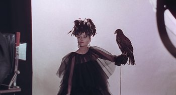 Movie still from “Puzzle of a Downfall Child” (1970), directed by Jerry Schatzberg – A woman in a black dress holding a black bird; Medium shot, Low angle