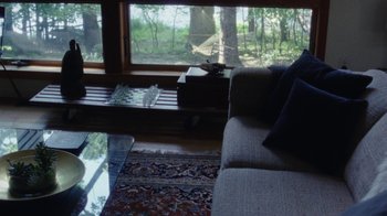 Movie still from “Queen of Earth” (2015), directed by Alex Ross Perry – A cat sitting on a chair in front of a window; Wide shot, High angle