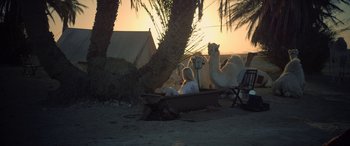 Movie still from “Queen of the Desert” (2015), directed by Werner Herzog – A person sitting in a boat next to a camel and palm trees; Wide shot, Low angle